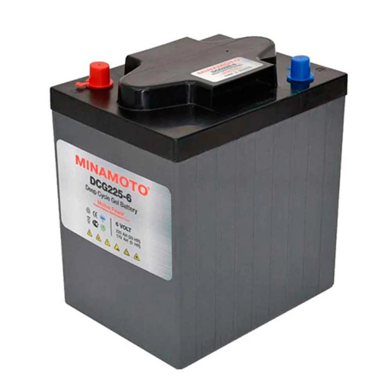 Тяговый аккумулятор Minamoto DCG225-6 (6V / 179Ah С5) купить в г ...