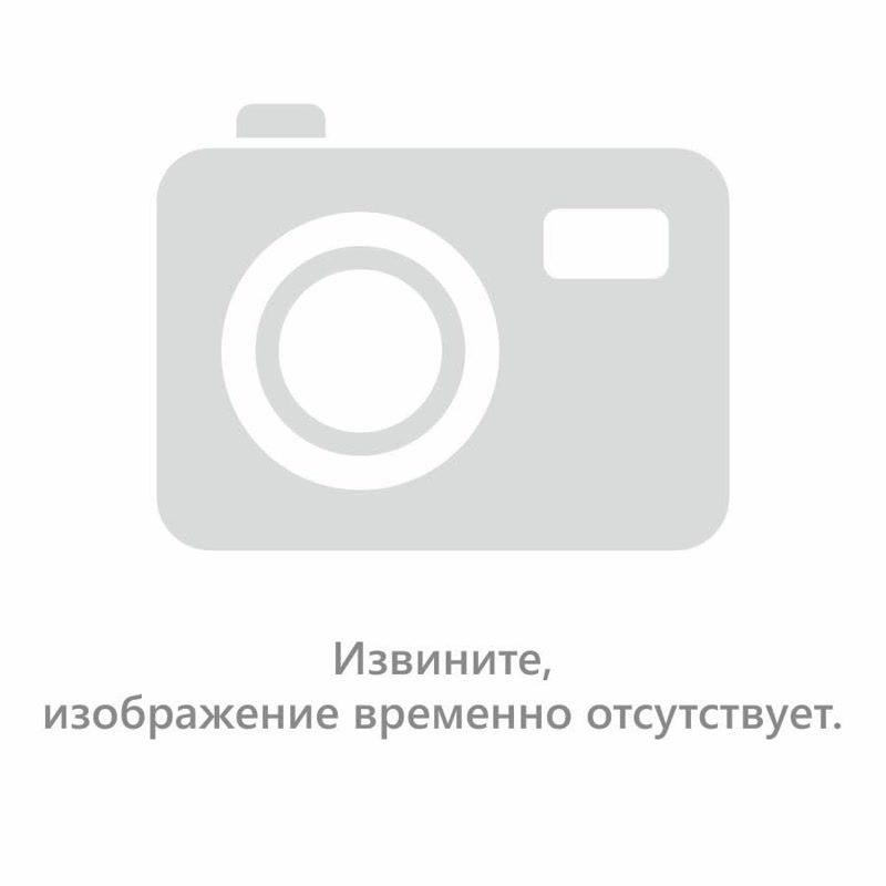 Аккумулятор Leoch PLH200FT