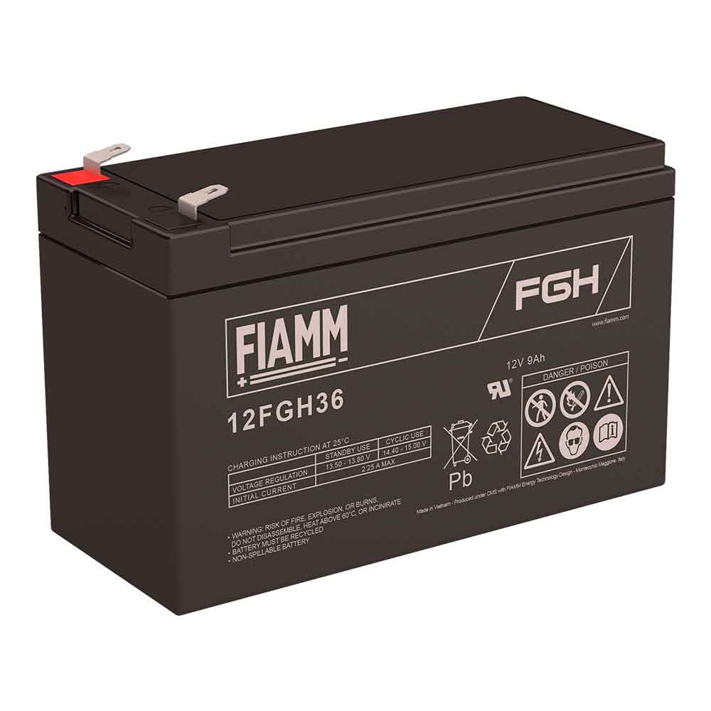 FIAMM 12FGH36