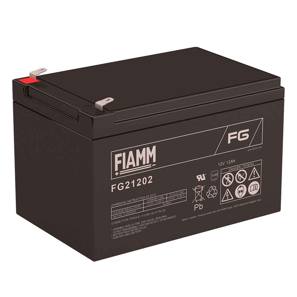 FIAMM FG21202