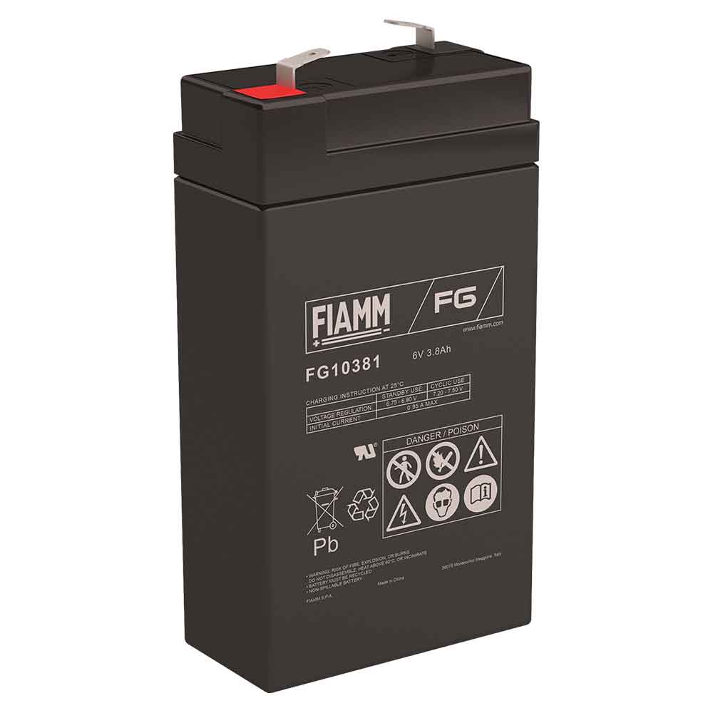 FIAMM FG10381