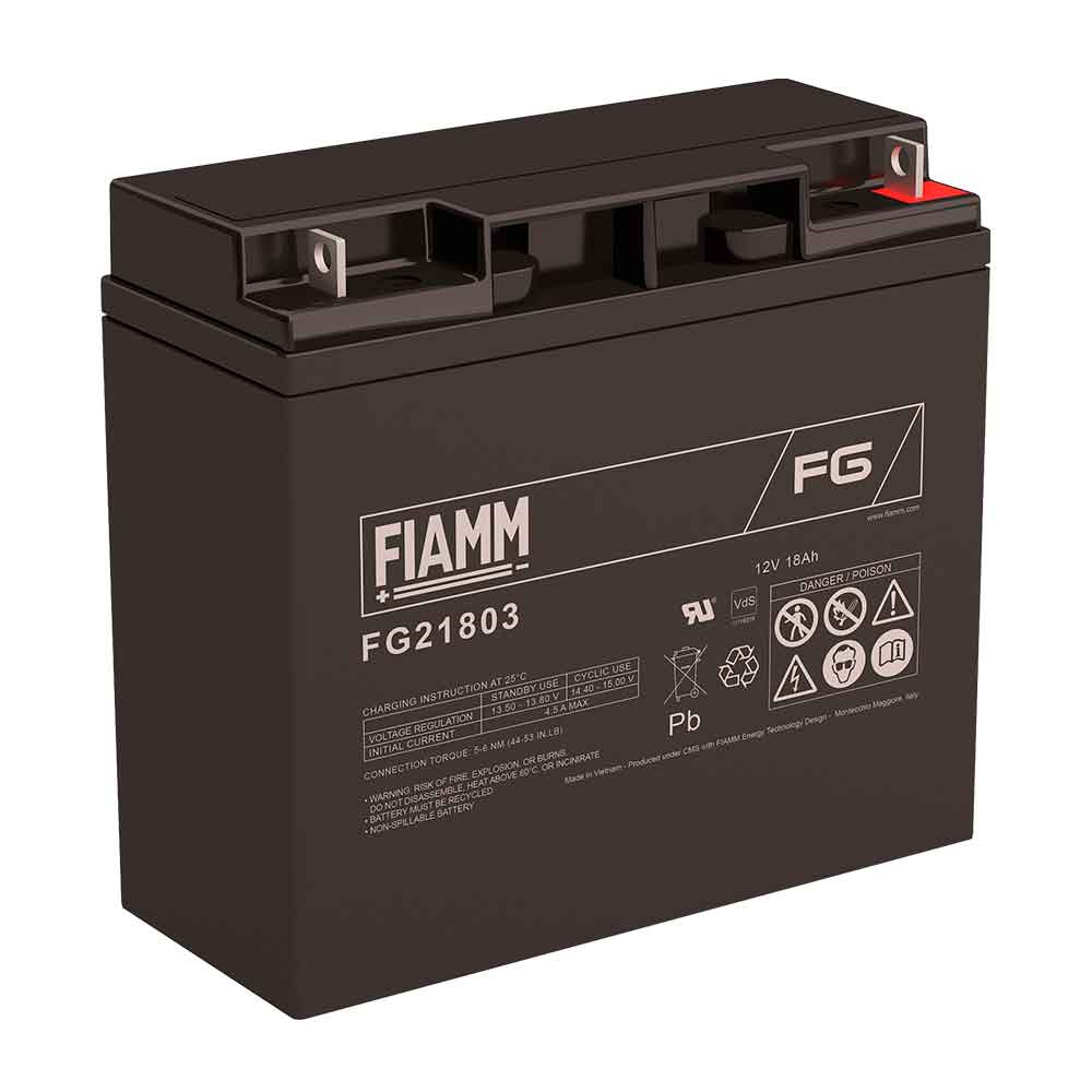 FIAMM FG21803