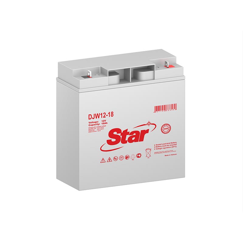 STAR DJW12-18 
