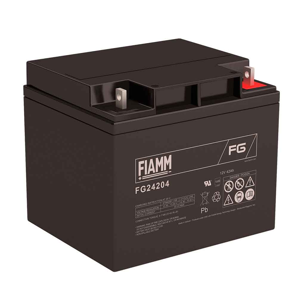 FIAMM FG24204