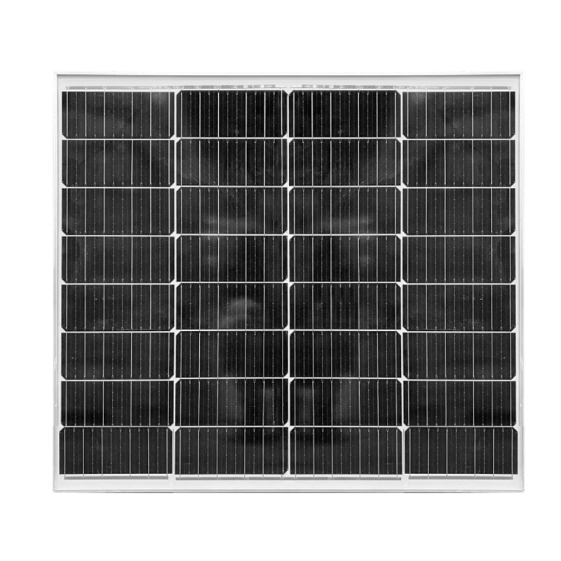 Hiden Control SM100W
