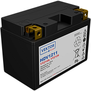 VEKTOR HDV1211