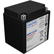 VEKTOR HDV1230