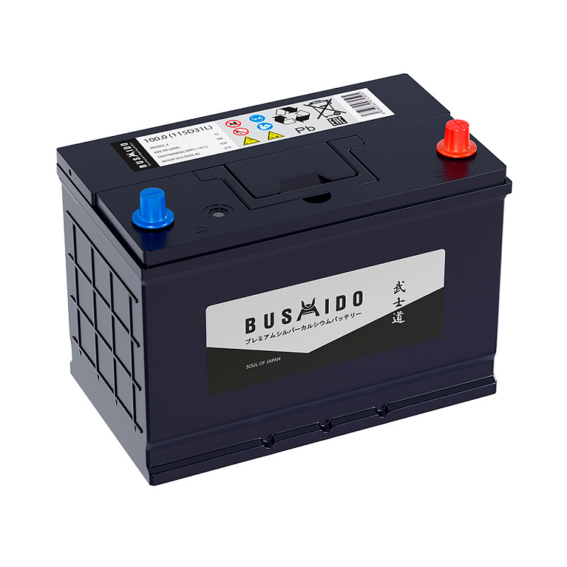 BUSHIDO SJ 100 обр (115D31L, HO)