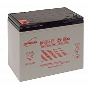 Аккумулятор Enersys Genesis NP55-12