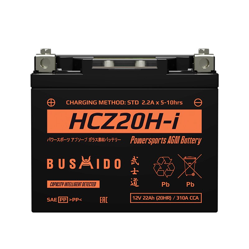 BUSHIDO HCZ20H-i