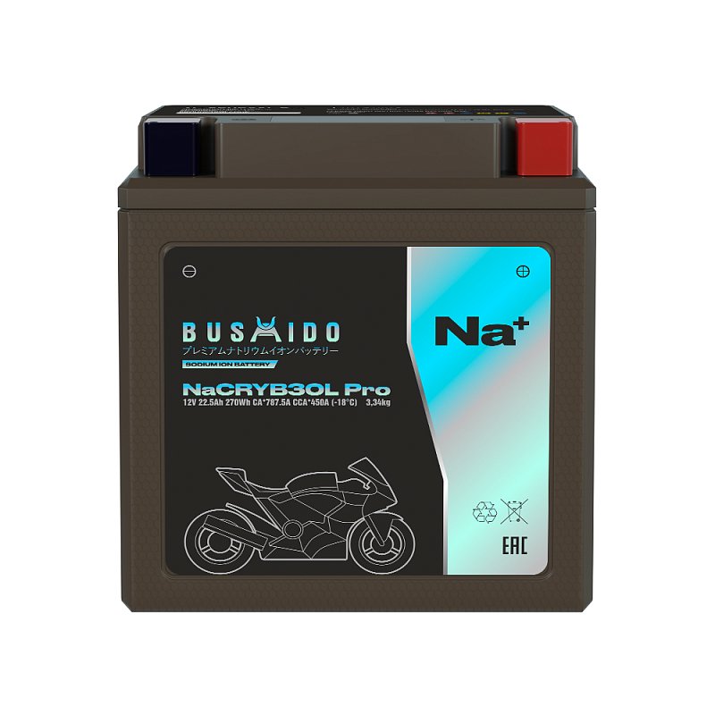 BUSHIDO NaCRYB30L pro (YB30L-BS, 22,5Ah)