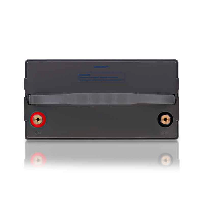 Аккумулятор Ippon IP12-100