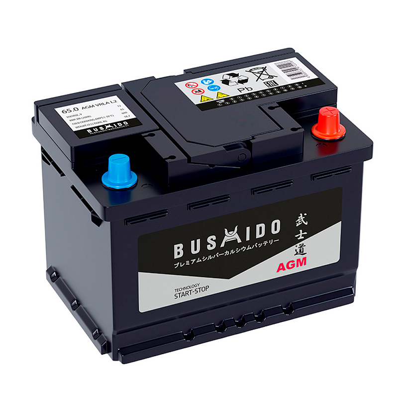 BUSHIDO AGM 65 обр (L2.0, JYC)