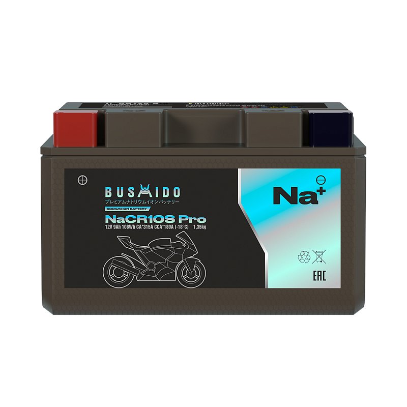 BUSHIDO NaCR10S Pro (9Ah)