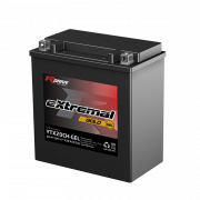 RDRIVE EXTREMAL GOLD YTX20CH-GEL