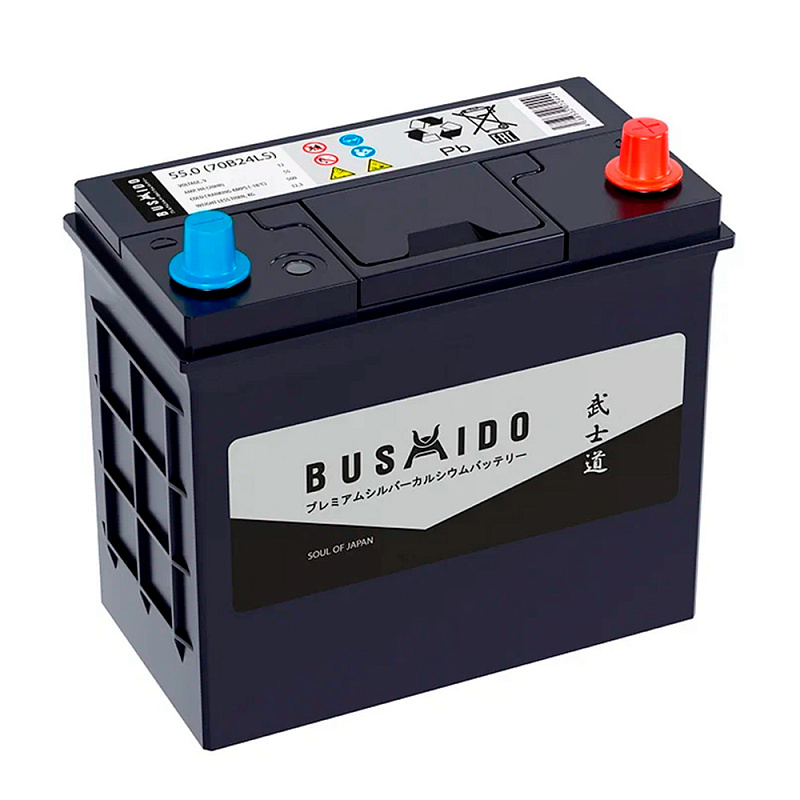 BUSHIDO SJ 55 обр (70B24LS, станд кл, CA)